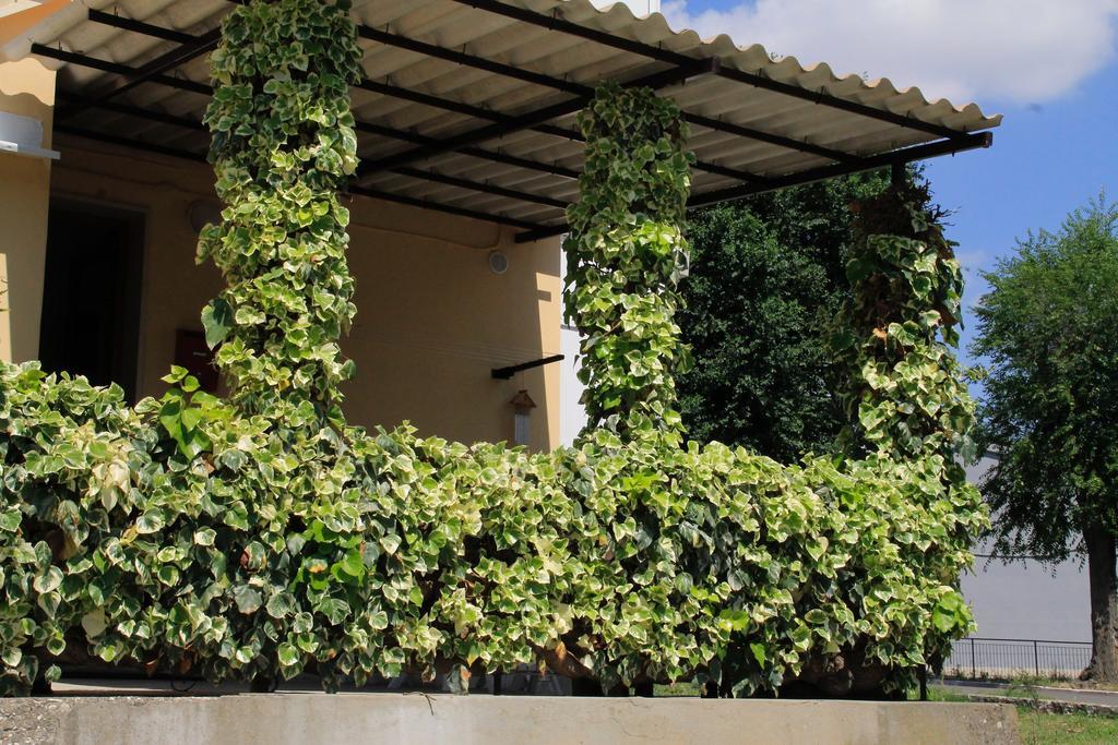 La Mia Resilienza Nei Sassi Di Matera Hotel Ngoại thất bức ảnh