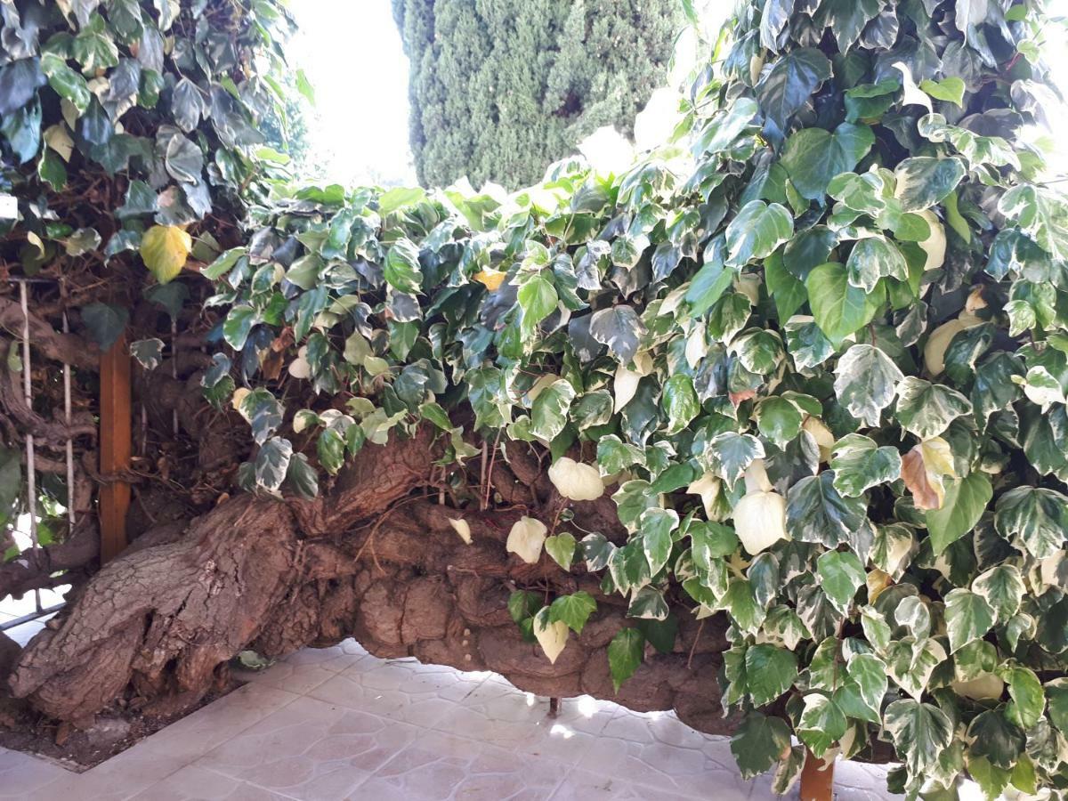 La Mia Resilienza Nei Sassi Di Matera Hotel Ngoại thất bức ảnh